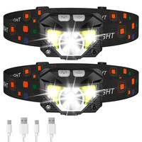 Faro de advertencia COB de Venta caliente para pesca nocturna al aire libre impermeable carga USB LED Luz de inducción batería de iones de litio 2G11
