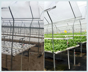 100*50 100*100 NFT <span class=keywords><strong>PVC</strong></span> canales de plantación tubos sistemas de cultivo <span class=keywords><strong>en</strong></span> <span class=keywords><strong>invernadero</strong></span> canal hidropónico tubos sistema de cultivo - Product Image 3