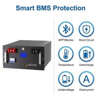 Batterie LiFePO4 en rack 51,2 V 300 Ah 15,36 kWh pour stockage solaire avec BMS RS485/CAN Bluetooth WiFi, crête 10 kW, 6000+ cycles, IP54