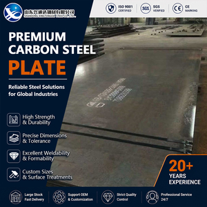 Placa de Acero al Carbono Normalizada EN 10025 ST37, Escala de Fábrica Templada, 50 mm x 1000 mm, para Proyectos de Ingeniería - Product Image 1