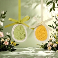 Parfum longue durée sans flamme arôme cire comprimés main cadeau Sachets pour voiture garde-robe parfum pendentif maison parfum Air