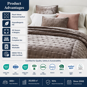 Set Copripiumino di Alta Qualità per Camera da Letto, Trapunta in <span class=keywords><strong>Velluto</strong></span> Lussuoso Tinta Unita con Federe - Product Image 6