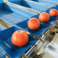 Automatische multifunctionele fruit- en groentesorteermachine met fabrieksaanpassing en hoogprecisie sorteersysteem