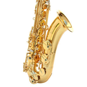 <span class=keywords><strong>Saxophone</strong></span> alto professionnel de haute qualité Surface de laque d'or bon marché avec matériau en laiton EB Tone - Product Image 6