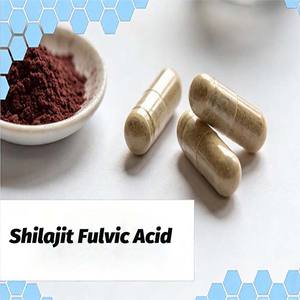 Cápsulas de Shilajit de Fábrica en Oferta, Suplementos Herbales, Extracto de Hongos, Antioxidante, Belleza, Inmunidad, Energía, Uso para Adultos - Product Image 2