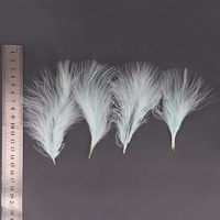 28 Couleurs Plumes de Dinde Teintées en Gros Multicolores 6-12CM Plumes de Marabout Blanches Non Assorties Éventails de Plumes de Dinde Noires Origine États-Unis