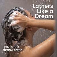 Barra de Champú Anticaspa para Cabello Rizado |   Aceite Suavizante Sin Sulfatos para Control de Grasa |   Polvo Sólido Vegano de Hojas de Árnica y Árbol de Té |   Fórmula 2 en 1