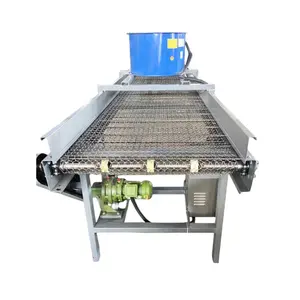 China Factory ODM OEM Stainless Steel Continuous Wire Mesh Belt/MESH CONVEYOR /Mesh Belt Conveyor