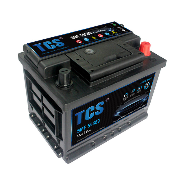 TCS Factory Price 12v 55ah Mf Car Battery Mf 55559 Agm Battery Car Battery