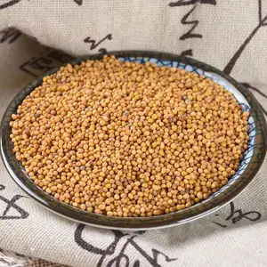 High Quality Qingchun Spices Factory Direct Sales Yellow Mustard Spices Whole Mustard Seeds All Natural