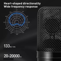 Microphone de studio à condensateur XLR à large diaphragme cardioïde AT4040 pour l'enregistrement vocal professionnel, la diffusion, le son en direct et la maison