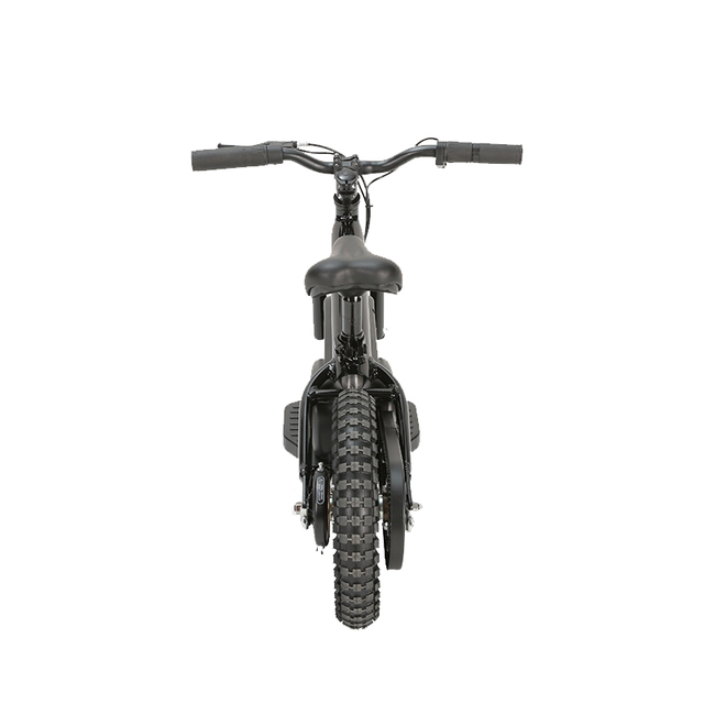 Electric Balance Bike Bicycle Electric, Two Wheel 24v7ah Toy Bike Outdoor Sport Electric Bike