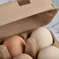 Muestras Gratis, Bandeja de Cartón Biodegradable Desechable para Huevos, en Tamaños 6/8/10/12/16, en Venta