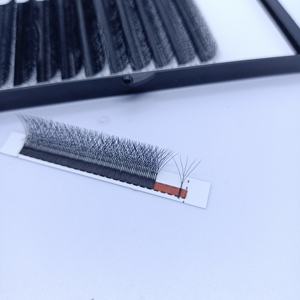 <span class=keywords><strong>Qingdao</strong></span> Extensions <span class=keywords><strong>de</strong></span> Cils Fournitures Private Label w 5d Cils Technologie Fibres Cilia W5d pour Cils - Product Image 2