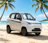 Véhicule de loisirs pour adolescents certifié EEC COC, petite voiture électrique, modèle européen, voiture à énergie nouvelle, 4 places, MINI SUV EU