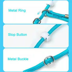 HOME PLANET Umwelt freundliches festes Haustier-Traktionsseil-Training Hunde leine Anti-Pull P-förmiges integriertes Halsband Hunde zubehör - Product Image 5