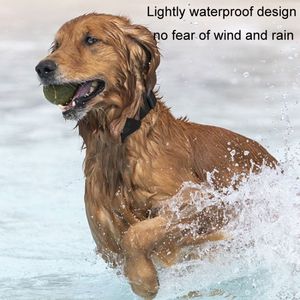 Traceur intelligent étanche <span class=keywords><strong>anti</strong></span>-perte pour chiens et chats compatible Find My iOS/Android - Product Image 3