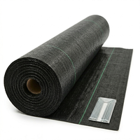 Toile tissée agricole anti-mauvaises herbes, bâche de paillage, barrière de contrôle des adventices pour l'agriculture, film de paillage 100 g/m²