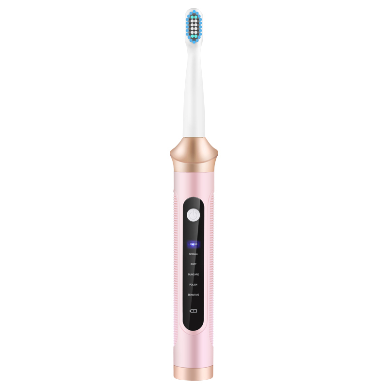 Electric Toothbrushes Portable Cute Cartoon Soft Brush Electric Sonic Toothbrush for Adult with 2pcs Replacement Heads