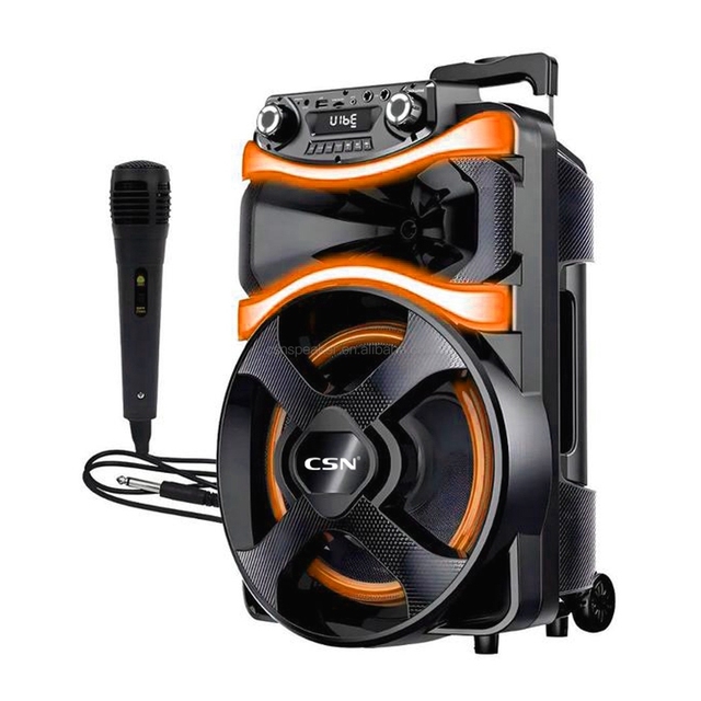 CSN-110 Factory Source Custom 12'' Trolley Karaoke  Speaker RGB Light Dual Wireless Microphone TWS Big Power