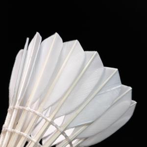 LING MEI 90PRO BWF (12 pièces) Volants de badminton en plumes d'oie, vente en gros, volants de badminton LING MEI 90 PRO pour les tournois - Product Image 5