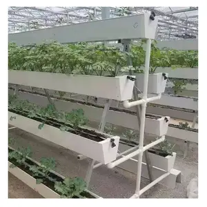 2023 New Arrival 3Rd Strawberry Gutter Planter Fruit Vegetables Food Grade Pvc Gully Plant Trough In Greenhouse