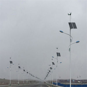 सस्ते 30w 60w सौर पवन संकर पाकिस्तान में एलईडी स्ट्रीट लाइट - Product Image 3