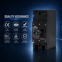 Boîtier moulé solaire à opération facile de haute qualité étanche DC1000V disjoncteur à boîtier moulé Mccb magnétique thermique