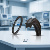 Gummi FKM Dichtungen X-Ring FPM Dichtungsring Sternförmiger O-Ring für Automobilbranche Hitzebeständig für Maschinen-Kolbenstangen