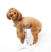 Support de toilettage pour chien réglable et écologique en silicone souple avec support métallique rose/violet classique