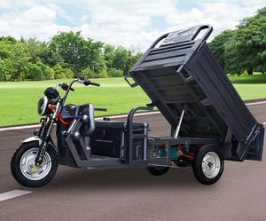 Tricycle électrique cargo pour adultes 1000W, certifié CCC, fabriqué en Chine - Product Image 3