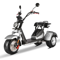 Motocicleta Eléctrica de Tres Ruedas Estilo Harley de Alta Velocidad para Adultos, con Alta Relación Costo-Rendimiento y Rendimiento Estable, 60V 2000-4000W