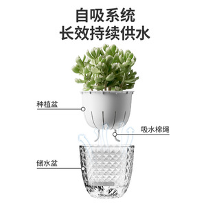 Diamond Flower <b>Pot</b> Transparent Self Watering Hydroponic Planter For Indoor Plants Desktop Use - Product Image 3