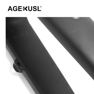 Pour <span class=keywords><strong>Brompton</strong></span> G Line vélo fourche avant <span class=keywords><strong>20</strong></span> <span class=keywords><strong>pouces</strong></span> frein à disque en Fiber de carbone à travers l'essieu M12x100mm pour le cyclisme urbain - Product Image 5