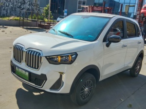 Fornitura di Veicoli Elettrici con Guida a Destra, SUV Elettrico di Alta Qualità a Nuova Energia da 5kW, Auto Elettrica a 4 Ruote per Adulti - Product Image 6