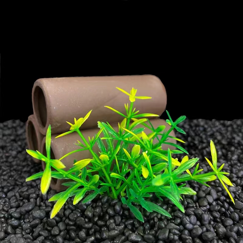 S228 erba verde e gialla lingua di serpente