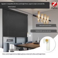 Moteur de store enrouleur intelligent Graffiti pour maison connectée avec cordon de tirage, moteur de rideau intelligent Zigbee 5V/7.4V DC, batterie 1000mAh, compatible 2MQTT HA