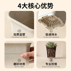 Maceta Cuadrada de Plástico Airi Shield, Moderna y Ligera para Suculentas - Product Image 2