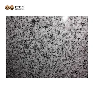 Bianco Sardo Pearl G640 White Grey Granite