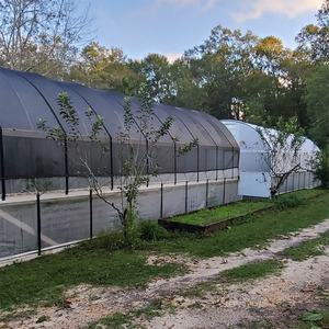 Plateau de pépinière écologique de haute qualité, abri de stationnement pour voiture, filet de handball - Product Image 6