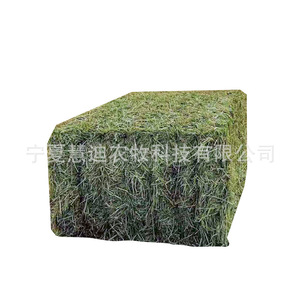 Balles de foin d'avoine, fourrage vert en paquet pour bovins, ovins, chevaux, yaks et chameaux - Product Image 5