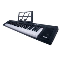 Factory Outlet Hot Sale 61 Keys Portable Electronic Organ Musical Instruments Electronic Keyboard Piano