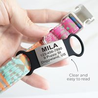Luxuriöse, schlichte, programmierbare Hundemarken mit einzigartigem QR-Code, Silikon-Halsband für Haustiere, heiß begehrt