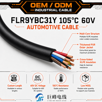 Câble de faisceau automobile multi-brins isolé XLPE à gaine épaisse FLR9YBC31Y pour câblage intégré et contrôle principal des véhicules