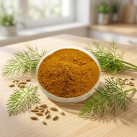 Ekstrak Biji Adas Herbal Foeniculum Vulgare 20:1 10:1 Larut dalam Air Kemasan Vakum Drum untuk Suplemen Makanan