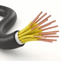 Câble de commande KVV 450/750V, isolé et gainé en PVC, 2-37 conducteurs 1,5-10mm², certifié GB, pour l'automatisation industrielle