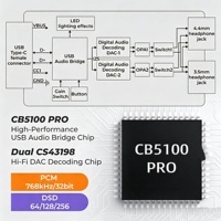 Module amplificateur de casque USB-C professionnel, double CS43198 PCM 768kHz DSD256, DAC HiFi équilibré 4,4 mm, Plug&Play Android IOS
