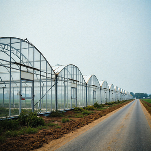 Estructura <span class=keywords><strong>de</strong></span> Invernadero Prefabricado Comercial para <span class=keywords><strong>Fresas</strong></span>, Champiñones y Tomates - Product Image 1