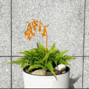 Décoration d'extérieur rustique en métal poli pour terrasse, jardin et patio, avec piquets, personnalisable, pour animaux, plantes et oiseaux - Product Image 2