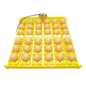 36 Trứng Đầy Đủ Tự Động Gia Cầm Lồng Ấp Với Đa-Chức Năng Khay Trứng